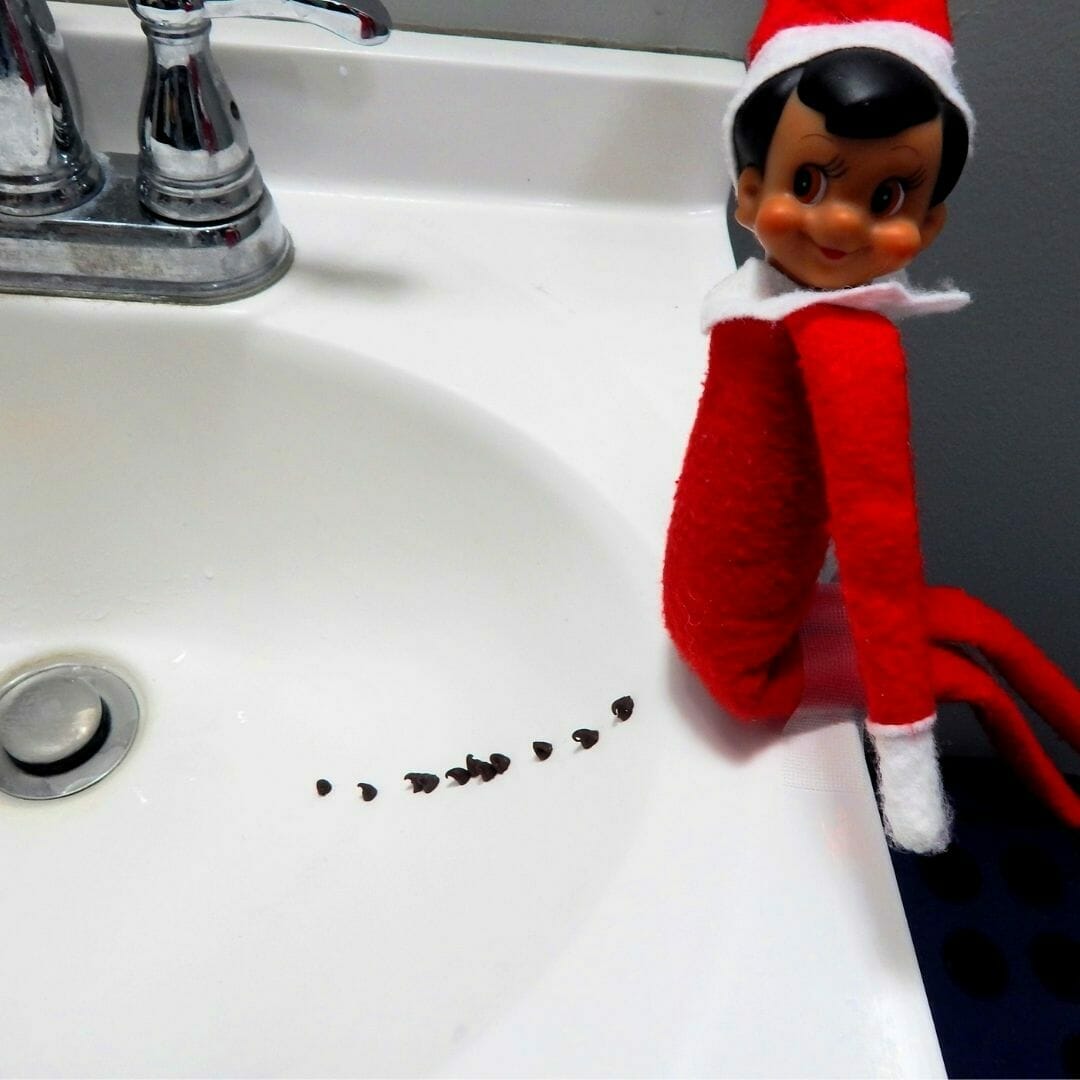 Elf goes to the toilet