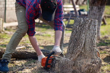 Reasons to Hire a Tree Service Company